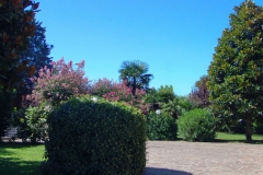 bed and breakfast il Casale